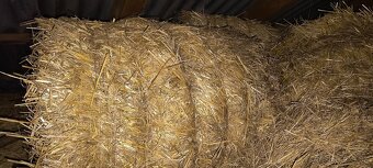 Predám balikovanu slamu - 2