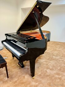 Hodiny klavíra, piano music lessons - 2