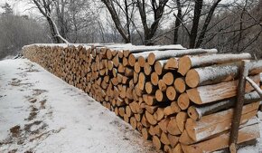 Palivové drevo • Metrovica, Štiepané + Doprava - 2