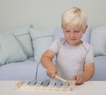 Predam Little Dutch Xylophone Zvonkohra Nova - 2