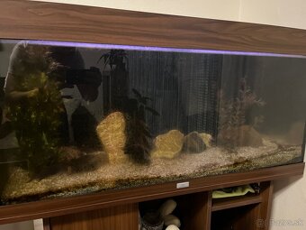 Akvárium Juwel 200L - 2