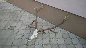 Parožie - 2