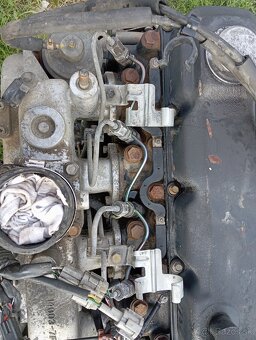 Nissan Terrano - 2