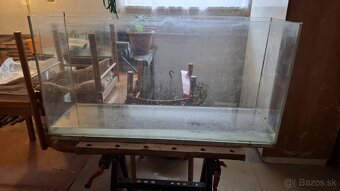 Akvárium - 2