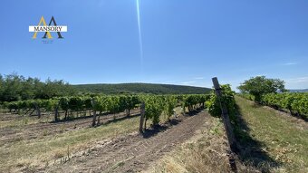 Na predaj vínny dom s vinicami a vínnymi pivnicami 13974 m2  - 2