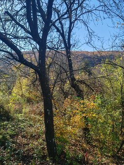 Na predaj pozemok v Podkylave - 2