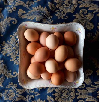 Predám domáce vajíčka_zn. BIO - 2