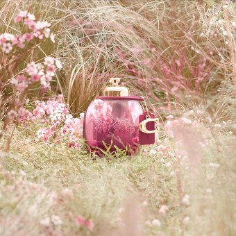 Coach WILD ROSE 30ml, PC 47eur - 2