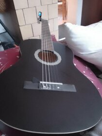 Gitara spanielka - 2