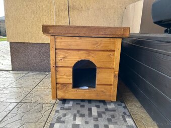 Búda pre psa - 2
