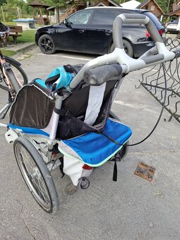 Thule chariot cx1 1 - 2