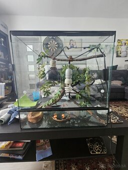 Predam terarium pre chameleona - 2