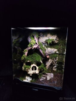 Terarium Exo terra - 2