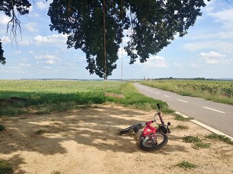 Detský bicykel YEDOO Pidapi 16 alu – červený - 2