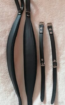 Remene na Akordeón - 2