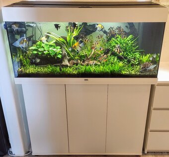 Juwel Rio akvárium 180L - 2