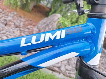 Kellys Lumi 50 - 2