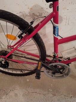 Dámsky bicykel - 2
