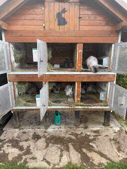 Predám Kralikareň zajačnik - 2