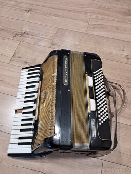 Akordeón Delicia - 2