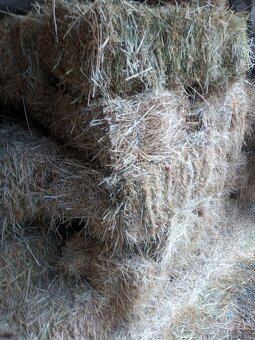 Malé balíky seno - 2