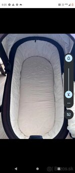 Kočik Mon dvoj kombinacia - 2