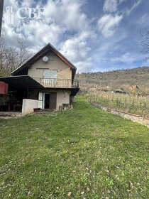 Záhradná chatka s vinicou v obci Hrušov - 2
