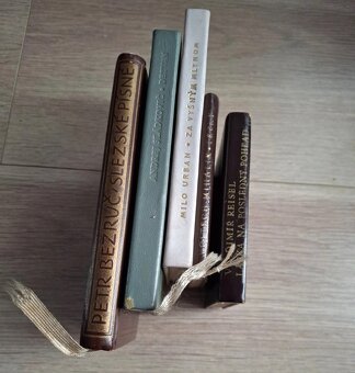 Klasicka literatura - 2