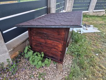 Predám psiu budú - 2