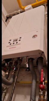 Immergas Victrix Tera 24 Plus - 2