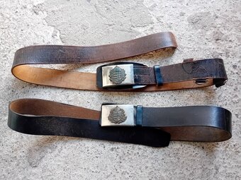 Madarska opaskova pracka - 2