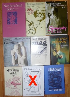 Zahraničná poézia a próza - 2