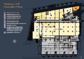 Obchodný priestor na prízemí v Business centre Košice Štúrov - 2