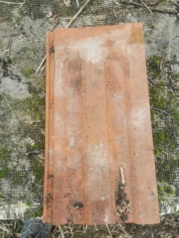 Stará škridla v dobrom stave - 2