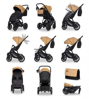 Kociar Rico Nuno - 2