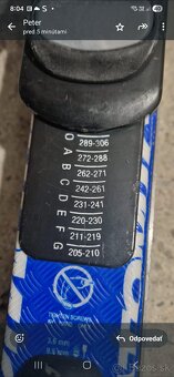 Lyze Atomic 130cm - 2