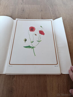 Staré školské pomôcky - 2