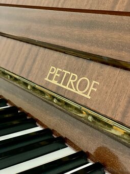 Poanino Petrof - 2