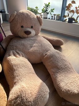 Plyšový maco 180 a 130cm - 2