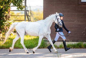 Pony do sportu i pro děti - 2