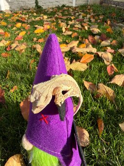 Pagekon riasnatý / Crested gecko - 2