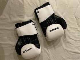 Boxérske rukavice Hayabusha S4 - 2