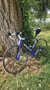 Karbonový cesťák FUJI Altamira 3.0 - 2