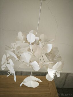 Luster biely kvietok - 2