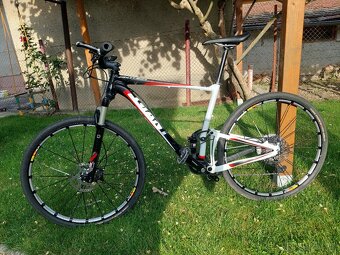 Giant Anthem x 29" L - 2