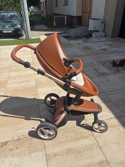 Kocik Mima Xari - 2