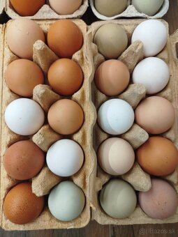 Domáce vajíčka - 2