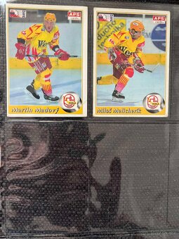 APS karty hokej 95/96 - 2