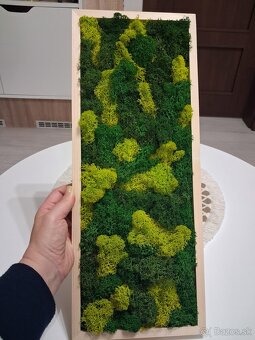 Machový obraz-lišajník - 2