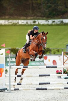 Športová kobyla - 2